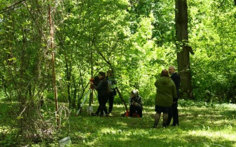 Дендрологические исследования